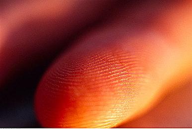 剑指Steam！GOG推出一件模组功能